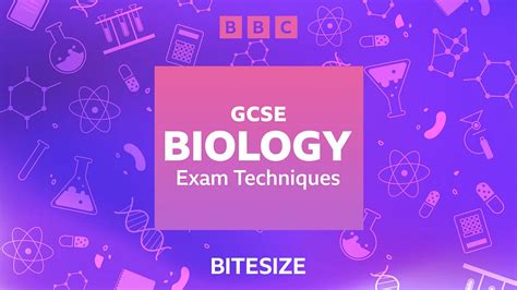 gcse bitesize|bitesize gcse test.